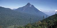 Rwandan scenery