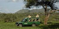 Game drive