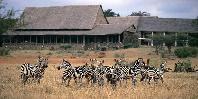 Wildlife at the lodge
