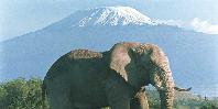 Mount Kilimanjaro Mount Kilimanjaro