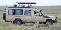 Game drive Game drive