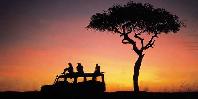 Game Drive at Sunset
