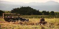 Game Drive