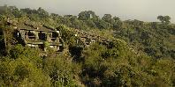 Ngorongoro Serena