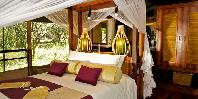 Guest tent