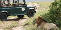 Game drive