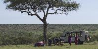 Bush breakfast