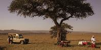 Bush breakfast