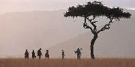 Walking safari