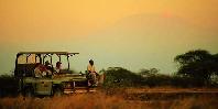 Amboseli game drive Amboseli game drive