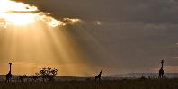 Mara sunset Mara sunset