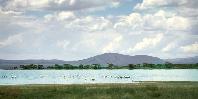 Lake Elmenteita Lake Elmenteita