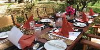 Garden lunch