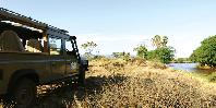 Game drive