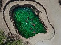 Natural Springs pool
