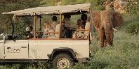 Game drive