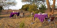 Bush dinner