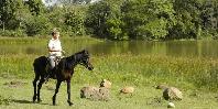 Horse riding by the lake