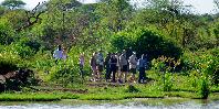 Bushwalk