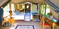 Guest Tent