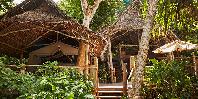 Jungle suite