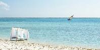 Sunbed