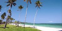 The Beach