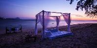 Beach dinner