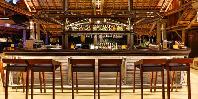 Dolphin Bar
