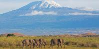 Amboseli