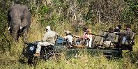 Game Drive Game Drive