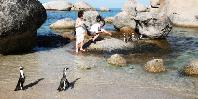 Boulders Beach