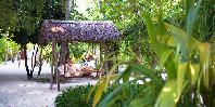 Relax in the shade