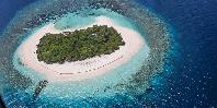 The island