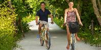Cycling through the gardens