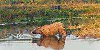 Chitwan National Park