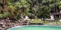 Garden and Pool