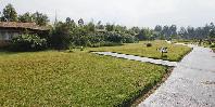 Grounds