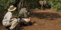 Walking safari