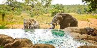 Motswari Private Game Reserve Motswari Private Game Reserve