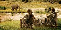 Motswari Private Game Reserve Motswari Private Game Reserve