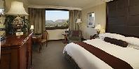 Luxury twin room