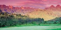 Golf at sunset