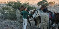 Horse riding