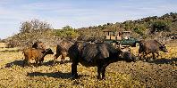 Game drive