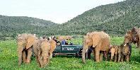 Game drive