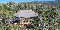 Aerial view of tented suite
