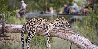 Game drive