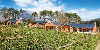 Vineyard Suite Exterior