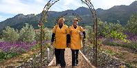 Stroll through the Vineyard